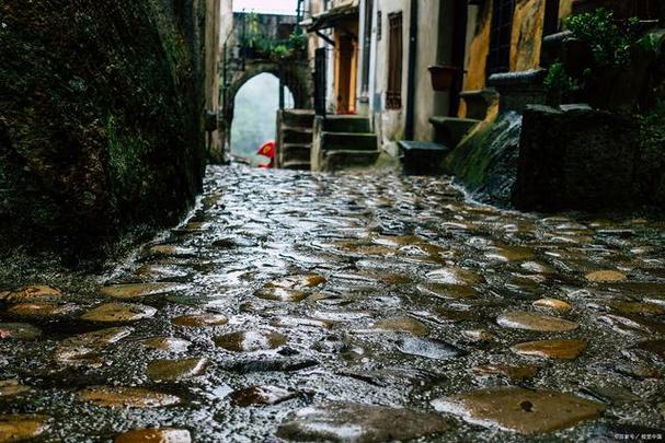 松阳杨家祠堂雨后青石板青苔反光