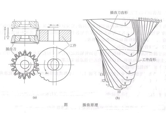 插齿加工啮合运动原理示意图