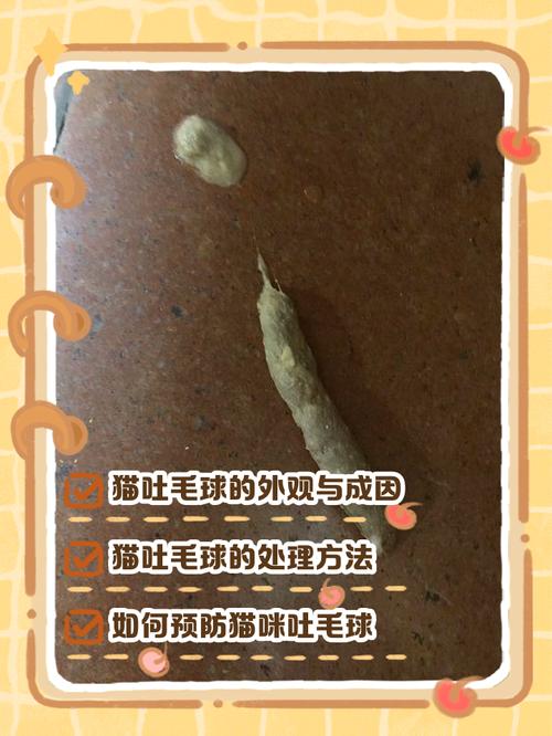 猫咪呕吐排出的完整猫毛球