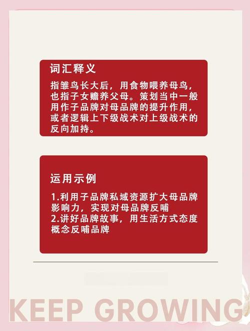 技术要反哺品牌，得把黑话翻译成用户摸得到的体验