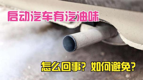 喷油器滴漏导致尾气生汽油味实拍图