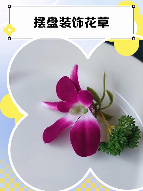 甜品摆盘食用花装饰示例