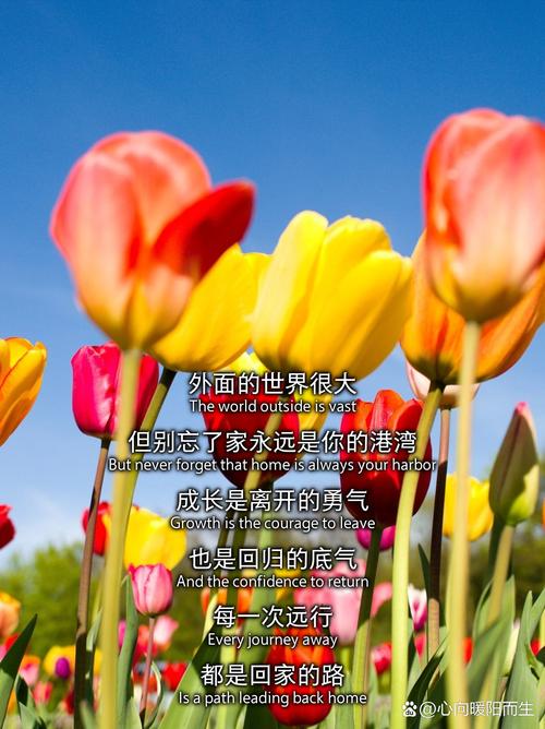 五、最后,别忘了你也是这个家的一部分