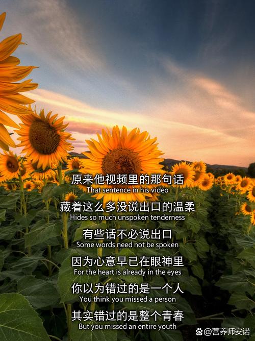 遗产继承里,藏着普通人没说出口的温柔