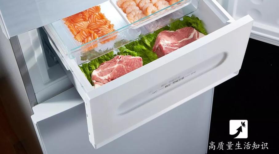 家用冰箱冷冻层立放的按份封装生肉和虾仁实拍