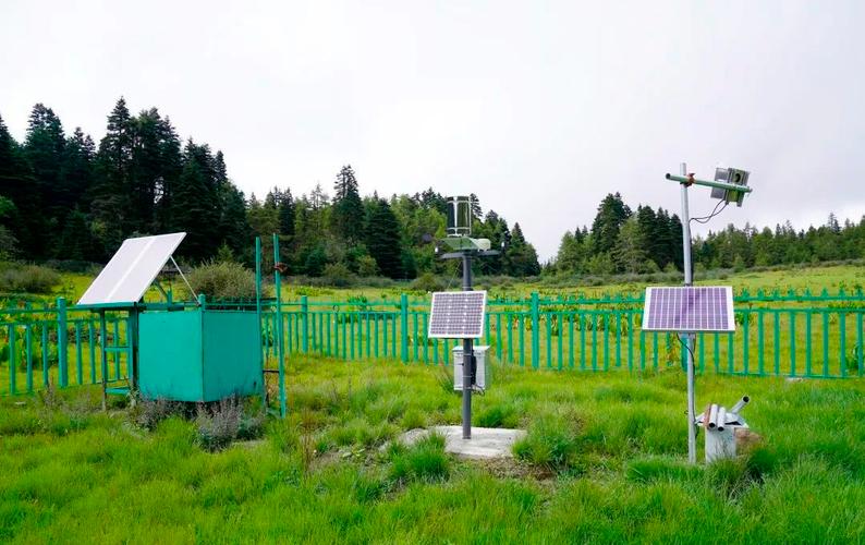 滇西北高山森林野外生态监测传感器布设场景