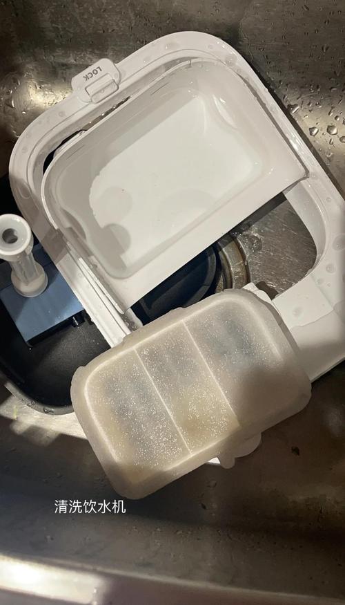 拆解开的猫饮水机残留猫毛污垢实拍