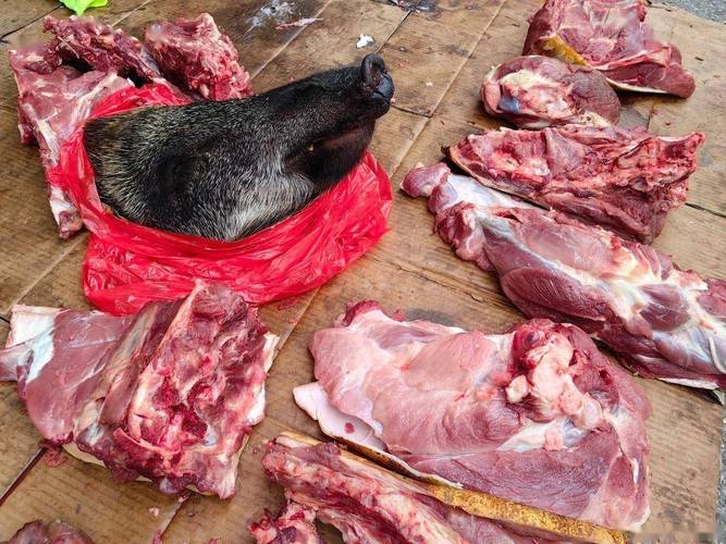 保店驴肉老汤锅边压着的三块青石头