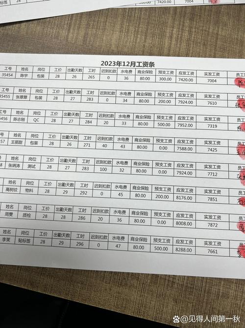 国内企业标准工资条明细实拍