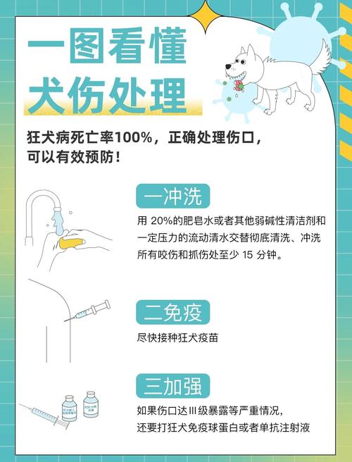 真遇上宠物致害，按这几步走就行