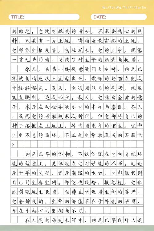 夹着干狗尾巴草的中学生作文本