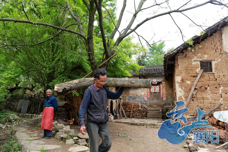 湖北南漳幸家坪村荆山竹林进村公路