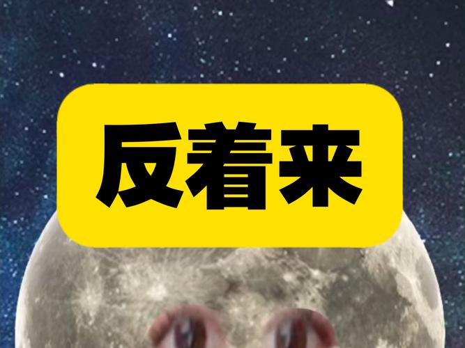 风险镜像，反着来就能赢