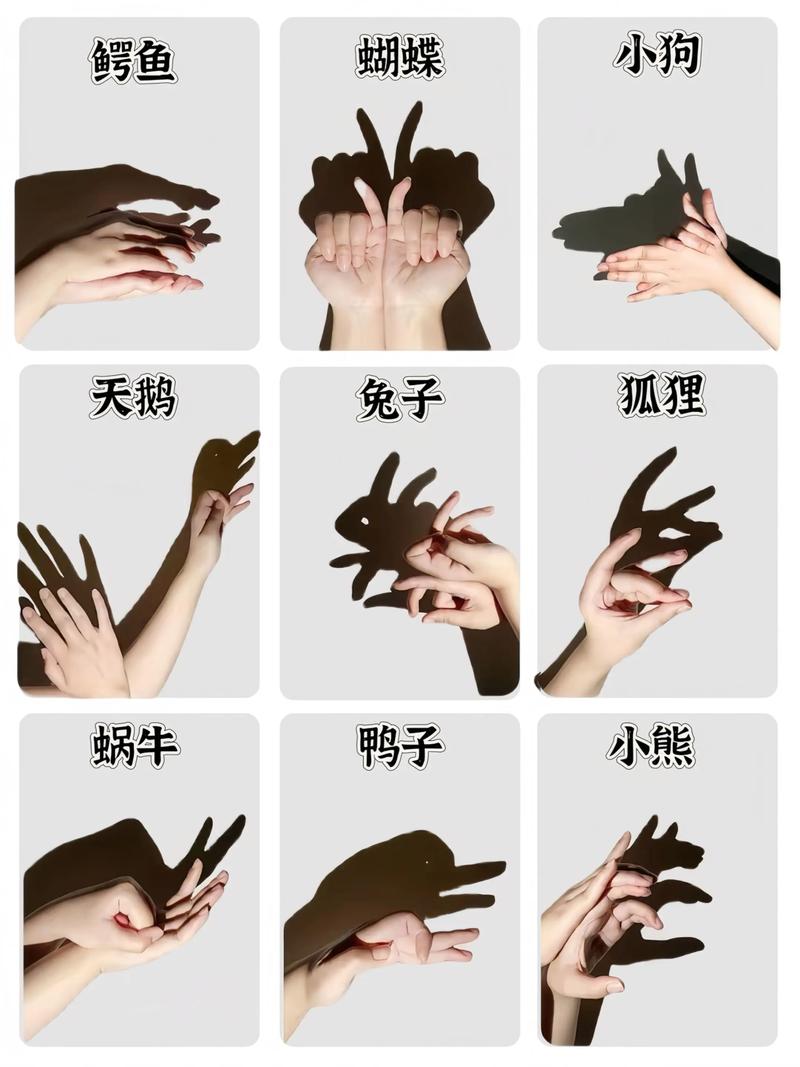室内亲子用手电筒玩墙上影子游戏温馨场景
