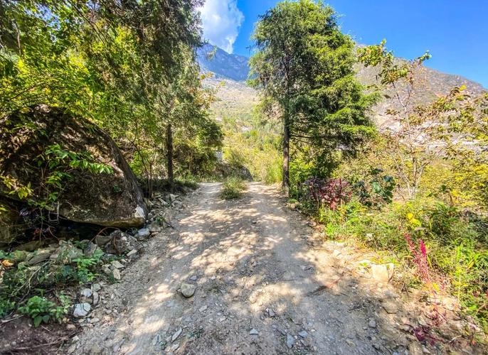 虎跳峡中虎跳徒步栈道旁纳西族村民核桃摊