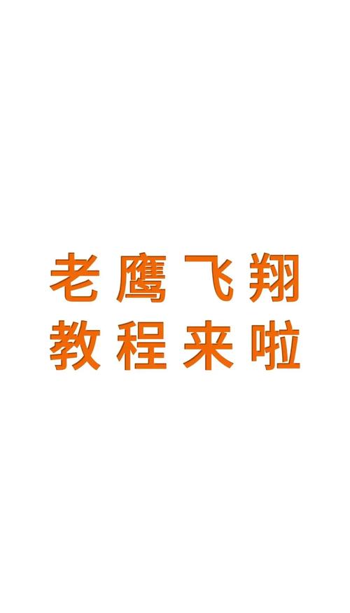 实战QA：飞了500小时的老鸟怎么说