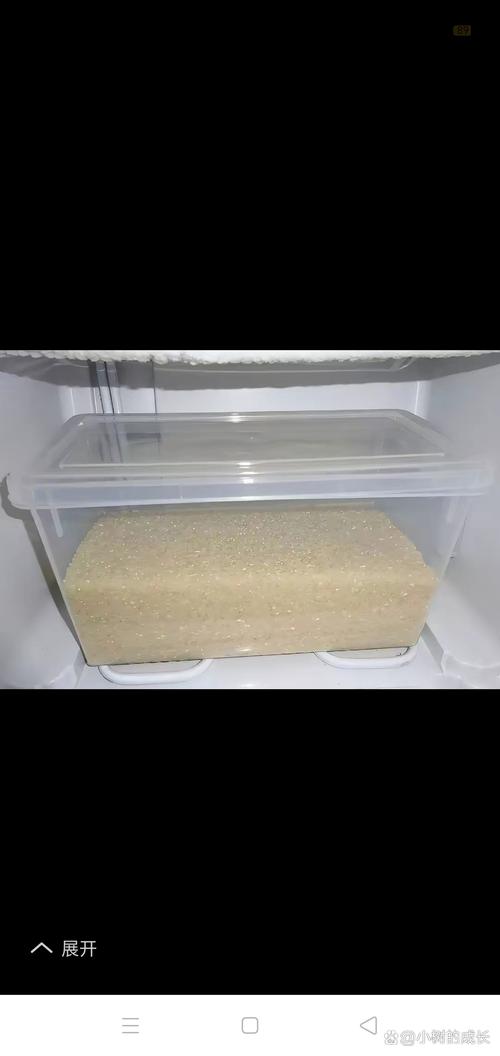 厨房米桶缝隙里的黑色米象