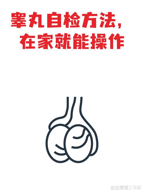 自己在家就能摸的自检动作,别啥都等修理厂说