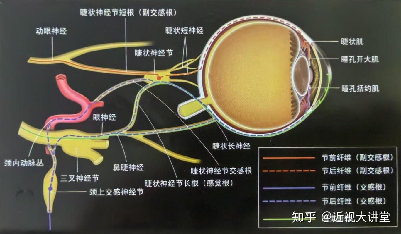 准时制生产：它没死，只是换了个活法