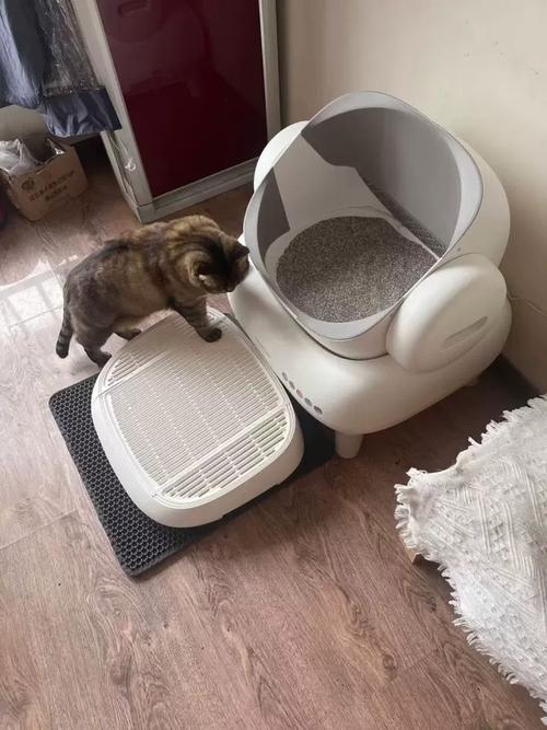 多猫家庭不同位置猫砂盆摆放实景图