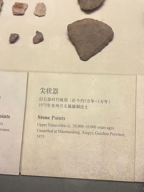 木头里的历史:考古证据