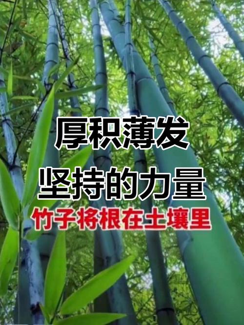 未来三年：不会爆发，但会悄悄扎根