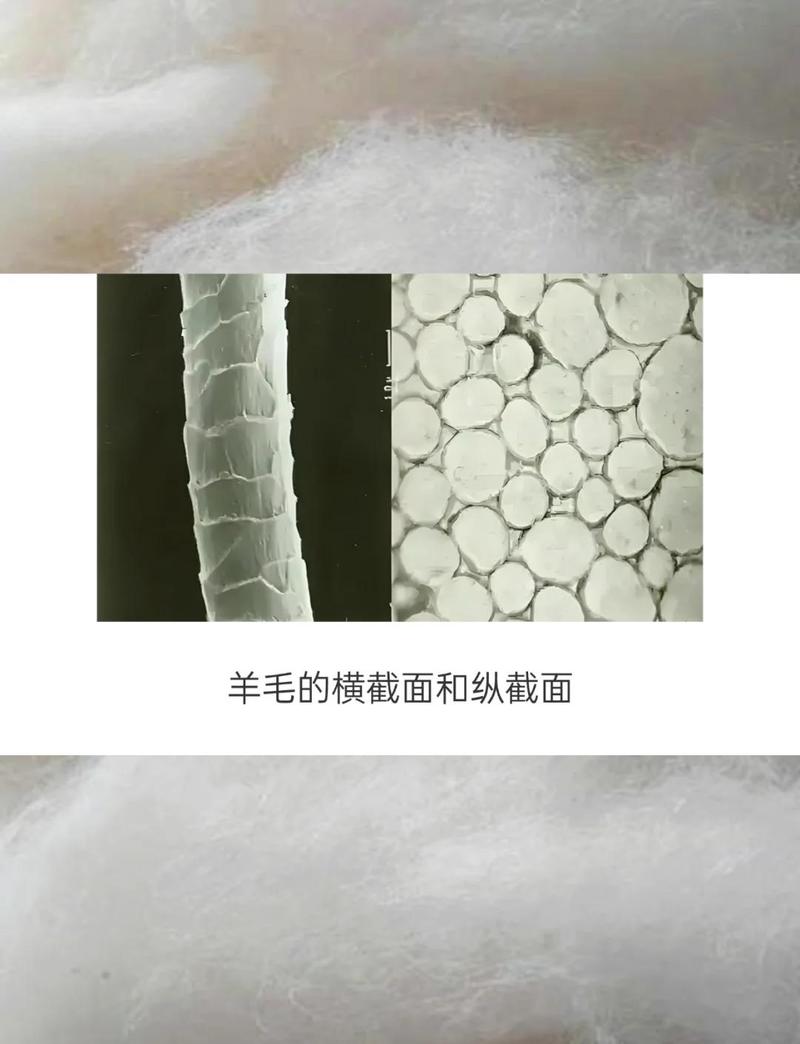 地毯深度指南：从纤维到图案，手把手教你选对家中的第二层皮肤-因为所以