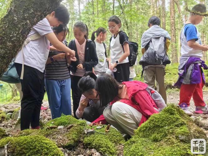 青少年户外探索与自然观察活动