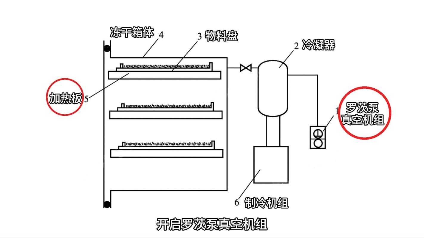 工业冻干机冷阱结构剖面图