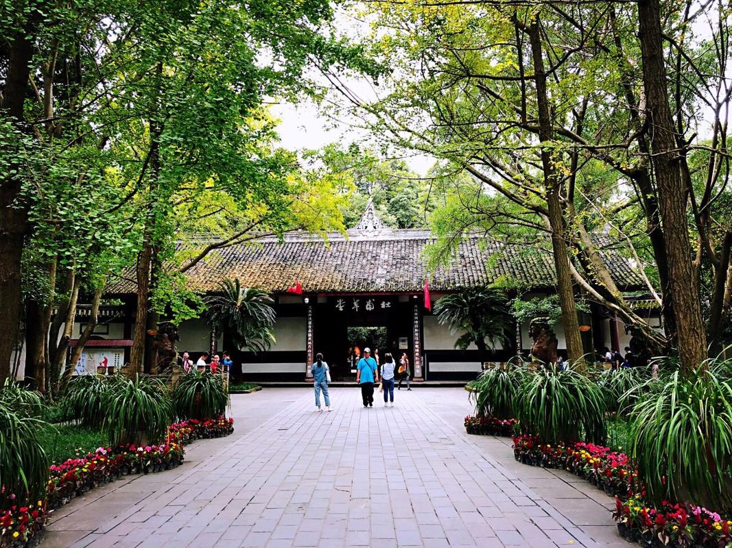 一、电影里的草堂雨，现实中的草堂路