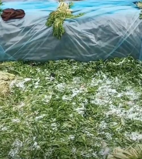 穿串腌制的坑,大半人都踩过