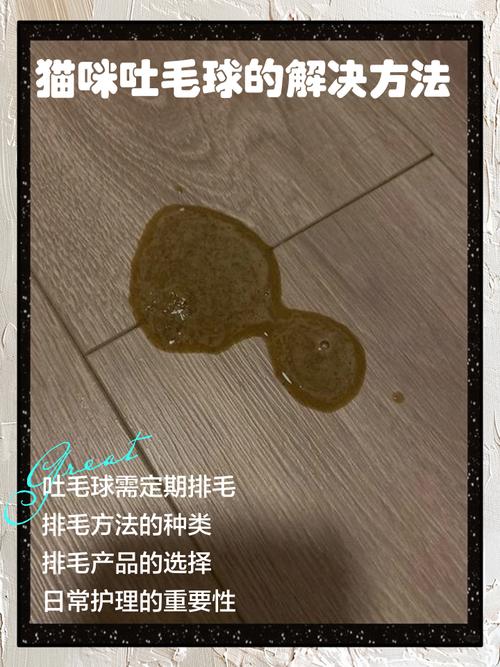 猫吐毛球在干净地毯上的实景图