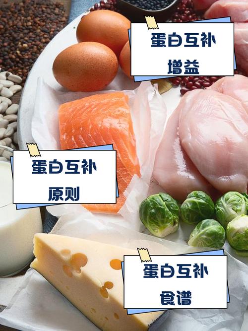 素食蛋白质互补搭配示意图