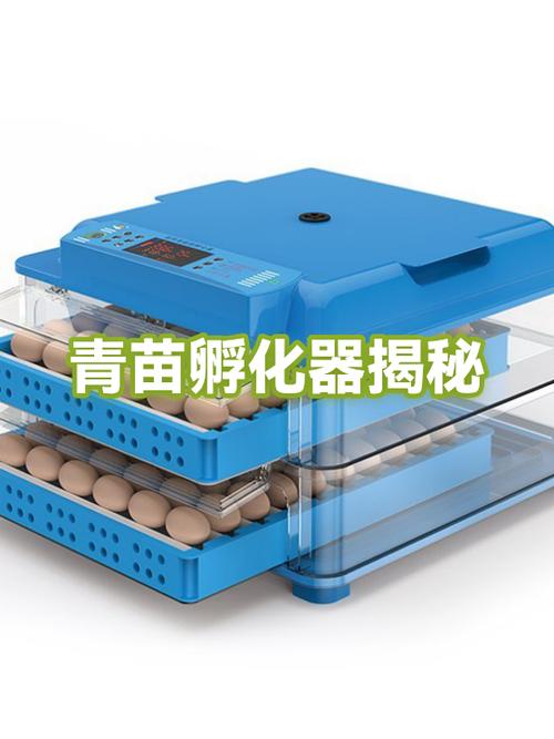 孵化器不是温室,是丛林