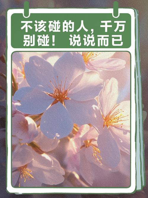 先说说那些晚上千万别碰的东西