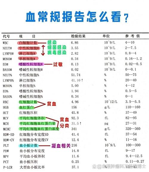体检报告异常指标箭头示意图