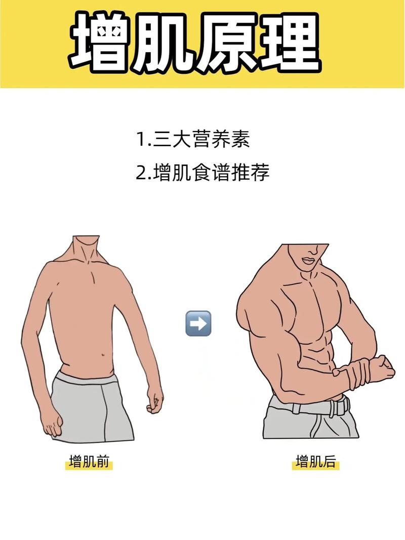 大部分人增肌失败,都栽在这两点