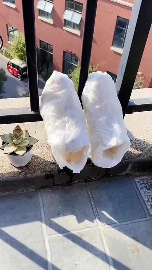 换下来的帆布鞋塞纸团通风晾晒场景