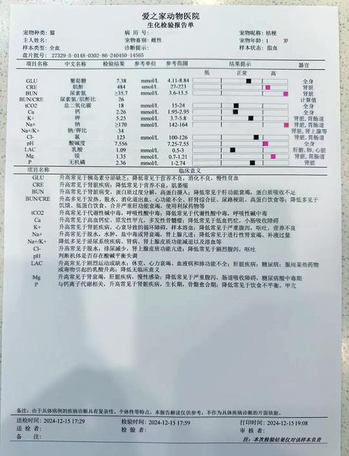 宠物医院猫咪肾功能检测报告实拍