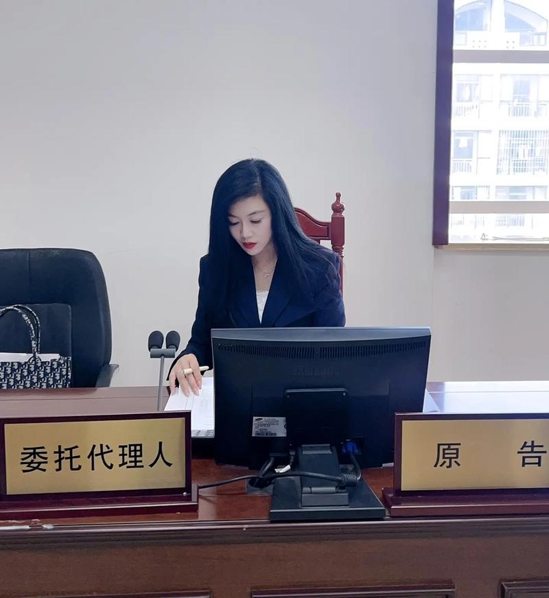 专业离婚律师解读法律条款的工作照