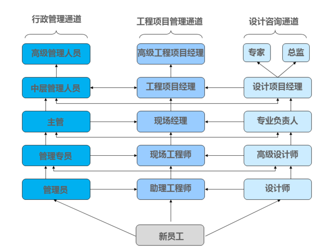 大学专业与职业发展路径多样性图示