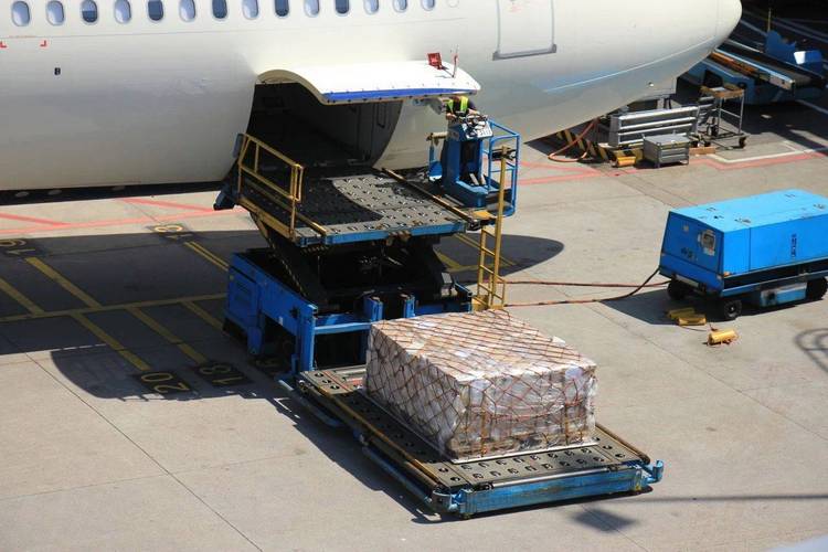 机场货运站装卸宠物航空箱现场实拍