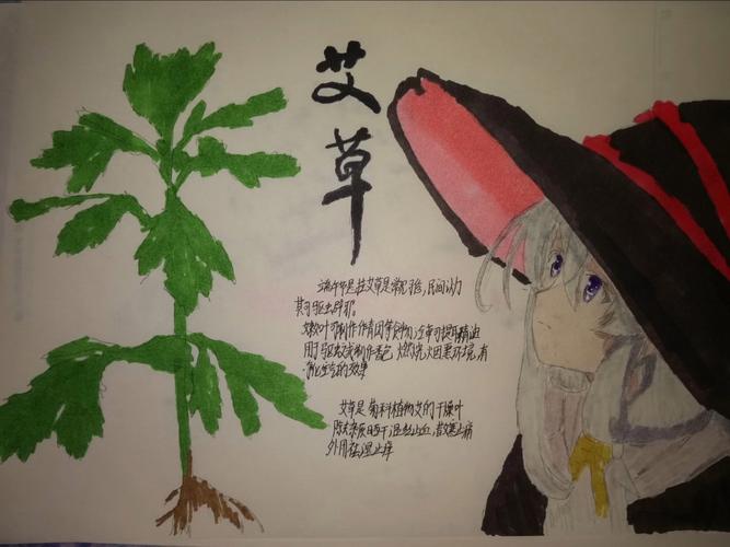 小学生在涂鸦本上画的箬叶、艾草小图案的内页照片