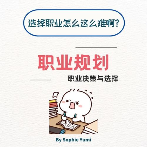 职业决策思考，永远没有完美选项