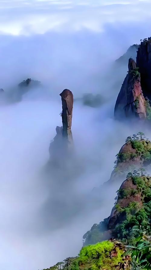 江西上饶三清山云海怪石远景