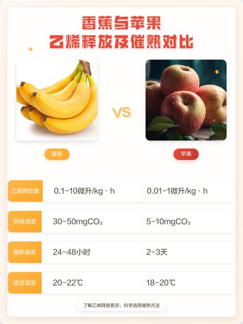 苹果释放乙烯催熟香蕉对比示意图