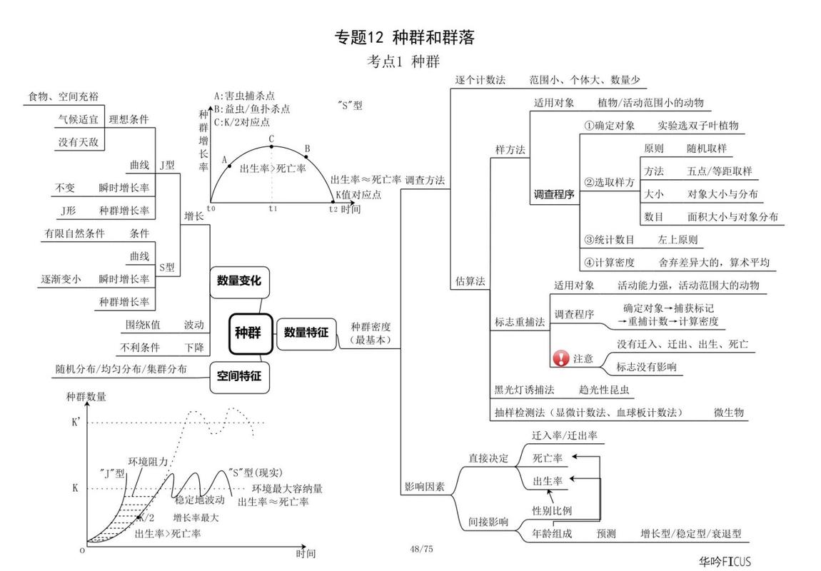 自然生态群落与种群结构示意图