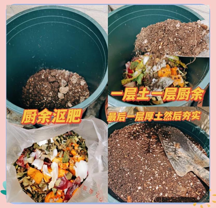 施肥杀虫，犯不着买贵的，家里废品就能用