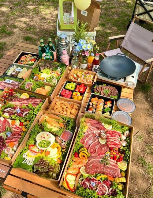 户外野餐生食熟食分装收纳图