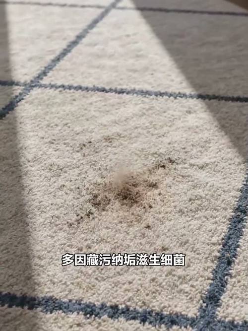 小苏打均匀撒在米白色地毯上的除味场景